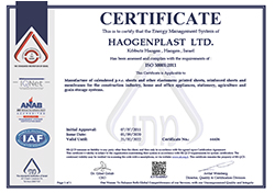 VINORIT - Haogenplast SI ISO 50001:2011